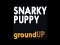 Snarky Puppy - Thing of Gold (Remix)