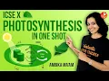 Lagu Photosynthesis in One Shot | ICSE/CBSE Class 10 Biology | How Does Photosynthesis Happen? Vedantu