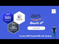 09 AWS DynamoDB Data Access with Node js AWS SDK v3 Scan Operation