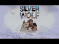 Download Lagu Silver Wolf (1999) | Full Movie | Michael Biehn | Roy Scheider | Shane Meier