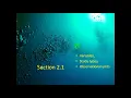 Intro Variables Populations Samples Parameters Statistics STAT 109