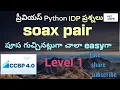 Previous Python IDP Question Level 1