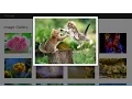 Google Like Image Gallery using Bootstrap Modal and Jquery Part - 1