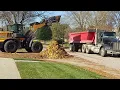 Fall leaf collection 2022 Naperville IL USA