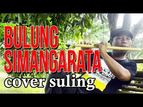 Download MP3 Bulung Simangarata - Cover Suling by Dirga Ranguti