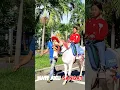 Lagu naik delman istimewa~lagu anak anak populer #horse #kuda #delman #delmankuda #shorts