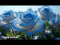 Download Lagu НЕРВНОЕ ВОССТАНОВЛЕНИЕ🌺Здравствуй, ОСЕНЬ!🌺Осенняя мелодия любви🌿Сергей Грищук