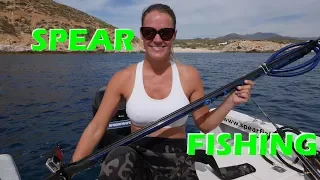 Spear Fishing For Beginners – Sailing Doodles