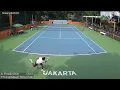 Download Lagu Harum Energy Series 3 MD Final | Rifqi Fitriadi (INA) vs Palaphoom Kovapitukted (THA) 6-3, 6-4