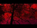 Download Lagu Vinterland  - Vinterskogen