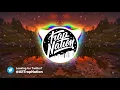 KRANE - Feel It ft. CXLOE & Khamsin (Vincent Remix)
