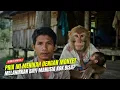 Download Lagu CERITA KISAH NYATA! SEORANG PRIA DI JAWA TIMUR, MENIKAH DENGAN MONYET MELAHIRKAN BAYI MANUSIA