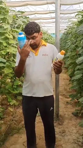 राजस्थान के अनूपगढ़ में रहने वाले किसान ने खीरे की खेती के लिए दी कैसी टिप्स  | वनइंडिया हिंदी