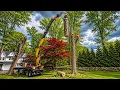 This Truck Makes HUGE Trees Disappear