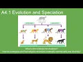 A4 1 Evolution and Speciation - IB Biology New Curriculum 2025
