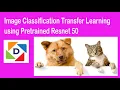 Image classification transfer learning in PyTorch