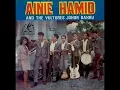 ainie hamid \u0026 the vultures JB _ perchaya padaku (1968)