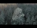VARGVEGR – Drengr (Cinematic Version) | Music Video