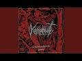 Download Lagu Im Walde (Remastered)