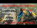 Download Lagu Auto dilirik juri!! mp3 masteran ful tembakan!!