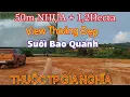 Download Lagu (Ngừng GD) 50 MÉT NHỰA + 1,2Hecta VƯỜN CÂY SUỐI BAO QUANH VIEW THOÁNG ĐẸP  TP Gia Nghĩa Đắk Nông