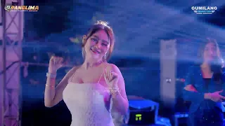 panglima music dj panglima music all artist wedding rozaq u0026 princes mangunrekso tambakromo pati