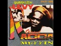 While Your Gone - Barrington Levy