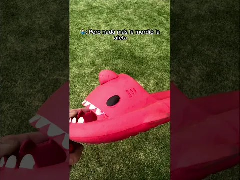 ¡Mi perro ARUINÓ las Sharklas de mi hijo! ¡QUIERO OTRAS! 😡🦈| Disponibles en sharklas.com👉