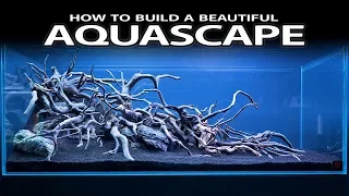 Download HOW TO BUILD A BEAUTIFUL AQUASCAPE EASILY - INSPIRATION, HARDSCAPE, LAYOUT MP3