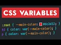 CSS VARIABLES Explained Step-By-Step Guide