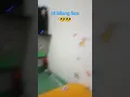 Lagu iri bilang bos hahay