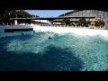 Download Lagu Darwin Wave Pool