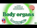 Talking Flashcards Body Organs ESL Level Fluent Academy