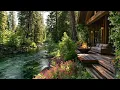 Forest Riverside Cabin | Relaxing Porch, Firepit, Nature Sounds and Birdsong for Relaxation