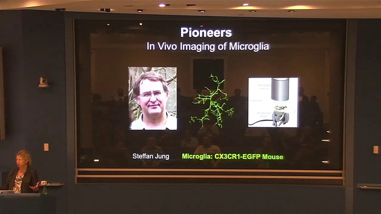 Beth Stevens - How Immune Cells Help Wire the Brain (November 2, 2016)