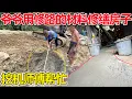 Download Lagu 爷爷趁着修路的材料，把自己的房子地平修缮一下，施工方把材料送给爷爷不收钱，奶奶高兴坏了
