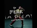 Flea - A Plea (Instrumental)
