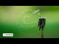 [Progressive House] Lane 8 - Keep On (Extended Mix)