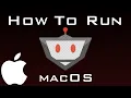 How to Start Botting OSRS Mac setup