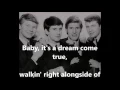 Download Lagu When You Walk in the Room   THE SEARCHERS