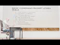 Command Prompt Basics - A Beginner s Guide Learn CMD Commands Easily