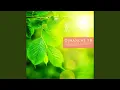 Download Lagu Violin Concerto In D Major, Op.77 - III. Allegro giocoso, ma non troppo vivace