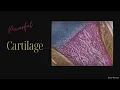 ❋ Powerful Cartilage Healing ~ Ligaments | Muscles | Joints | Tendons | Bones ~ Rain Sounds