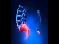 Download Lagu Coccyx Pain Relief Frequency: Tailbone \u0026 Spine Pain Relief Music