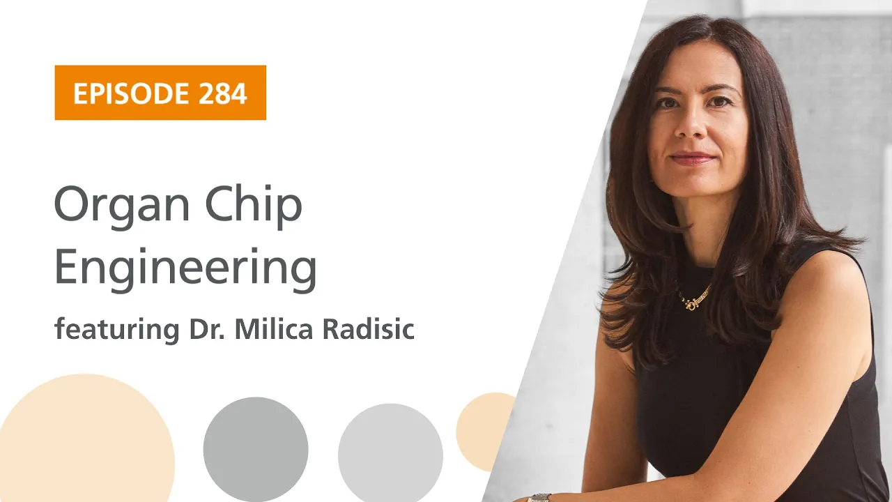 Organ Chip Engineering featuring Dr. Milica Radisic | The Stem Cell Podcast