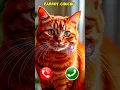 Download Lagu cat 😺 🐈 calling... #ringtone #smartphone #music #ringtones #mobilephoneringtone