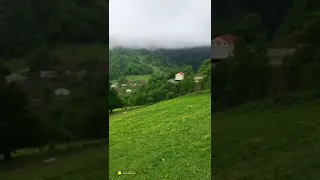 صلى عليك الله يا خير الورى      بصوت طفل  أجمل صوت  دندنها