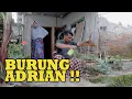 Download Lagu KOMEDAK (Komedi Dakwah) Sasak Lombok, Episode 32:  BURUNG ADRIAN