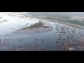 Butter Bean Beach