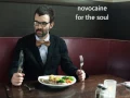 eels novocaine for the soul lyric video